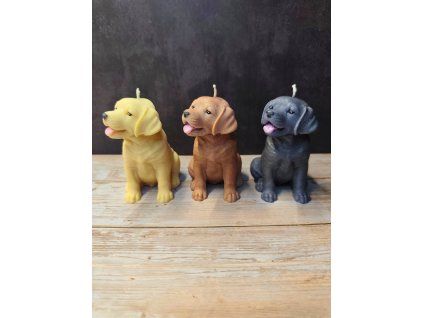 ac3aecc0 e270 4f44 a038 d42ce94fc9a2