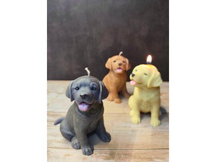 d4361dd9 e32a 4e6f 97b3 0e2ebb1cc927