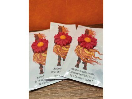 36d6e566 df50 46a2 b28b a0f8c3c4cd20