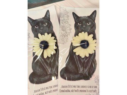 14a5a52c 82f9 46ce b3ff 62030819ae14