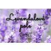 lavender (1)