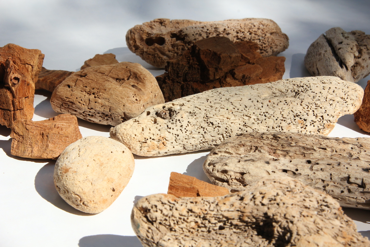 driftwood-1
