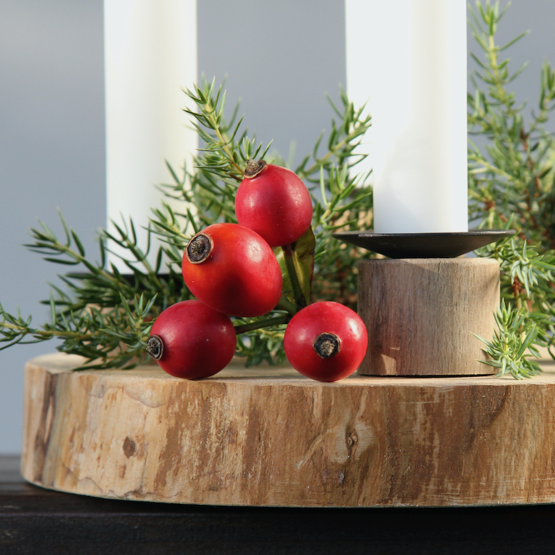 svicen-advent-6