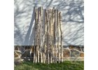 kmeny z břízy 180-200 cm, průměr dole 4-6 cm