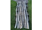 kmeny z břízy 244-250 cm, průměr dole 6-9 cm