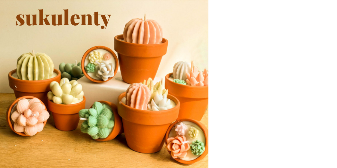 sukulenty