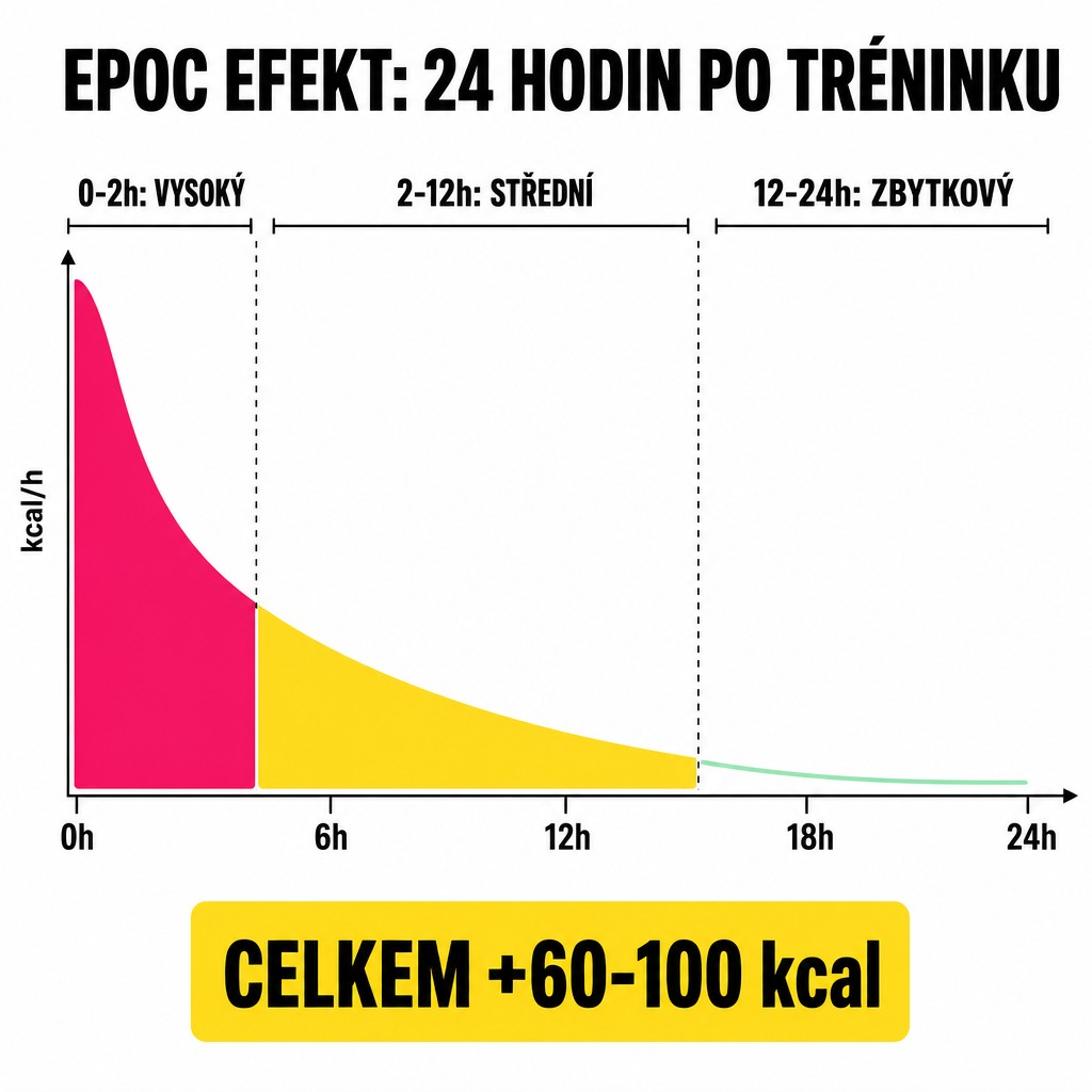 Časová osa EPOC efektu (afterburn) po skákání přes švihadlo: 0-2h vysoký výdej, 2-12h střední, 12-24h zbytkový. Celkem 60-100 kcal navíc po 30min HIIT.