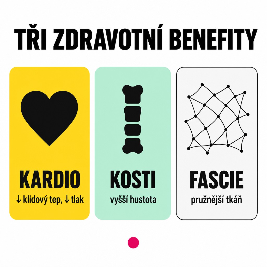 Tři zdravotní benefity skákání přes švihadlo: kardio (snížení klidového tepu a tlaku), kosti (vyšší hustota), fascie (pružnější tkáň)