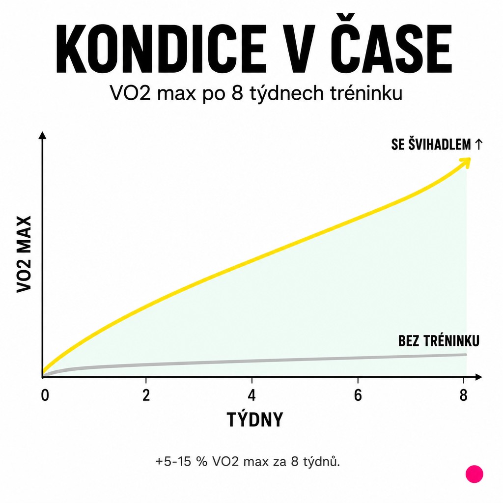 Růst VO2 max po 8 týdnech tréninku se švihadlem oproti baseline bez tréninku - tipické zlepšení 5-15 procent