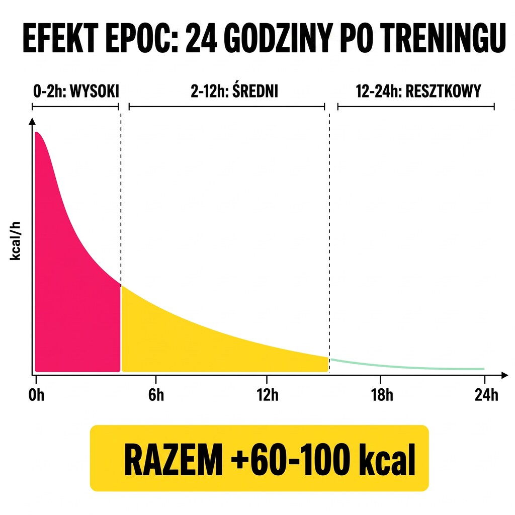 Oś czasu efektu EPOC (afterburn) po skakaniu przez skakankę: 0-2h wysoki wydatek, 2-12h średni, 12-24h resztkowy. Łącznie 60-100 kcal ekstra po 30 min HIIT.