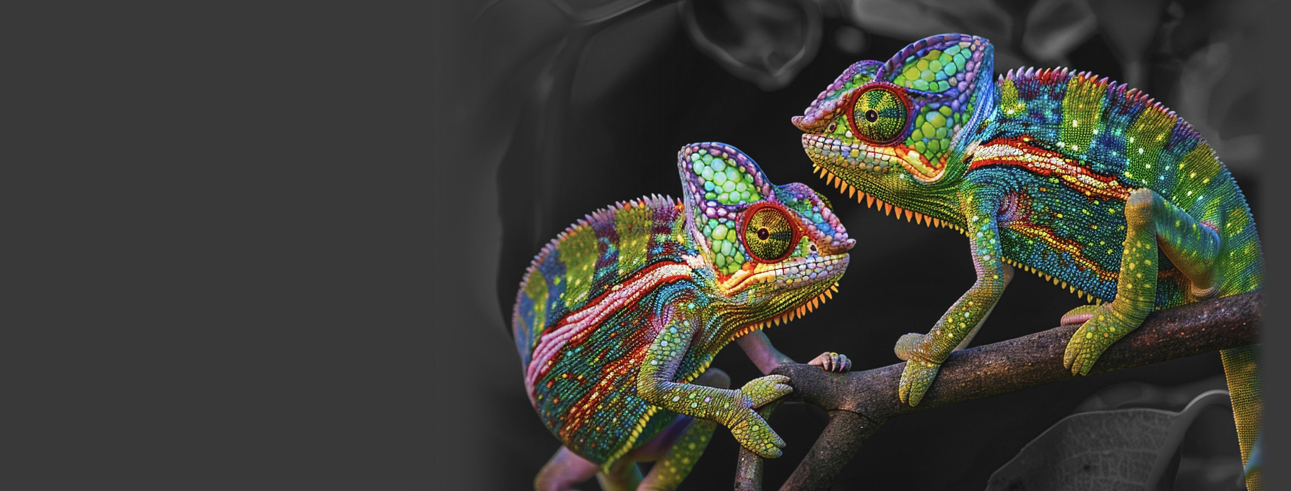 Vrecká s potlačou aj bez