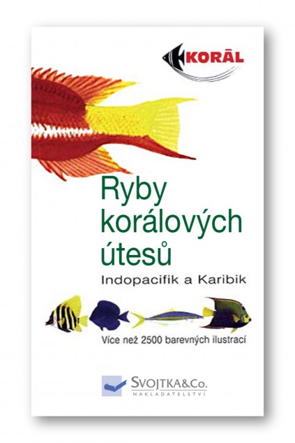 1469 korálové ryby