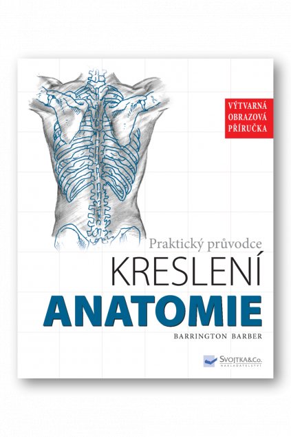 3162 Anatomie