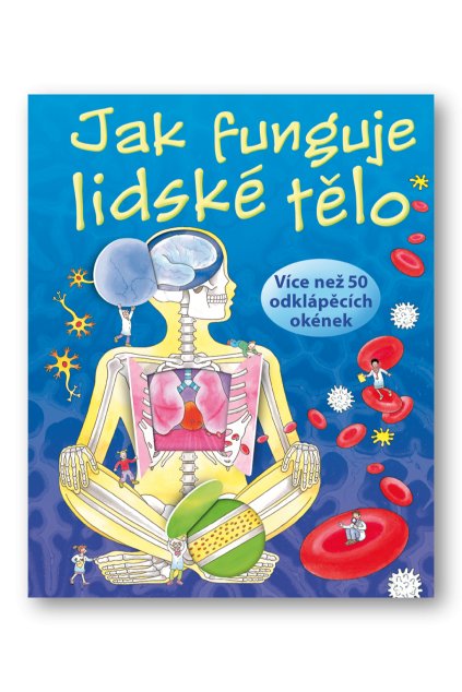 Jak funguje lidské tělo