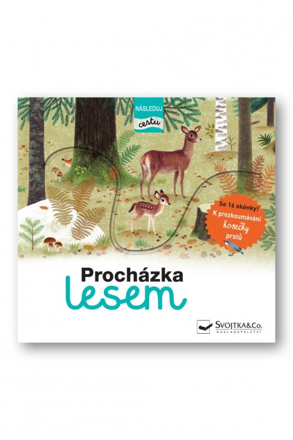 6084 prochazka lesem