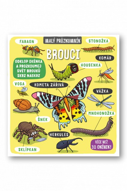 Malý průzkumník – Brouci