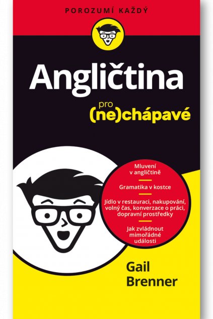 Angličtina pro nechápavé  Gail Brenner