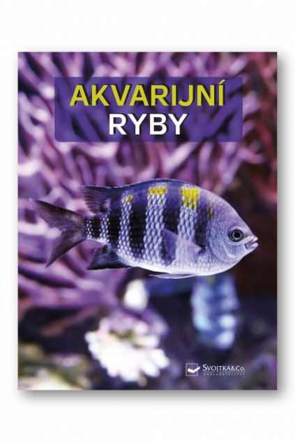 Akvarijní ryby  – velký obrazový atlas  Wally Kahl, Burkard Kahl, Dieter Vogt