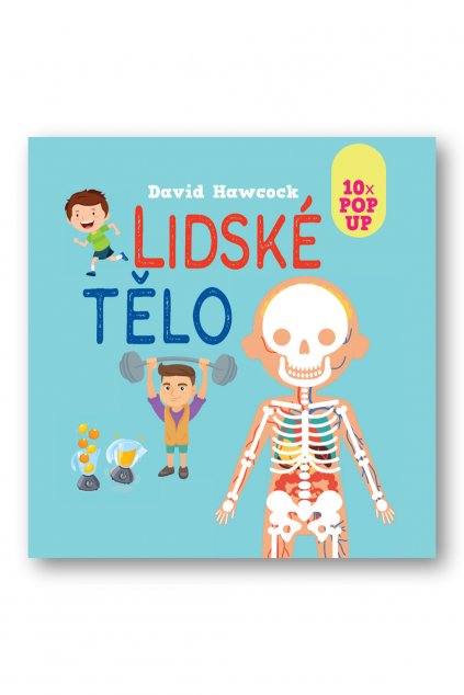 6352 Lidske telo 10 x pop up