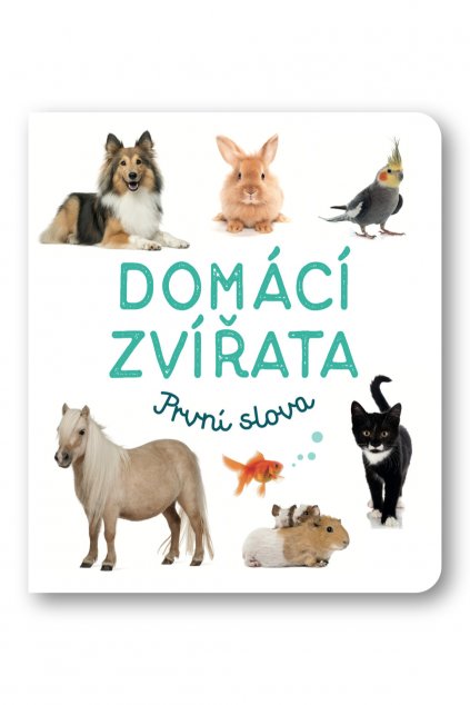 6435 Domácí zvirata