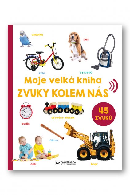 6290 Zvuky kolem nas