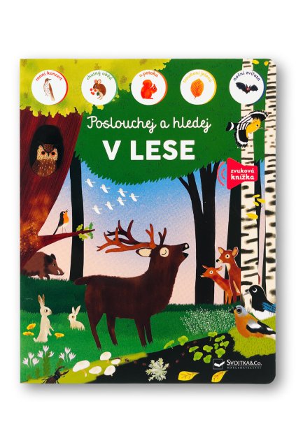 7045 Poslouchej a hledej v lese OBALKA