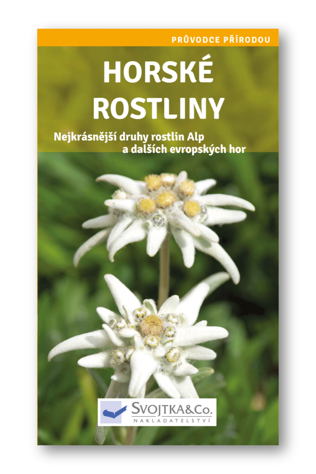 Levně Horské rostliny