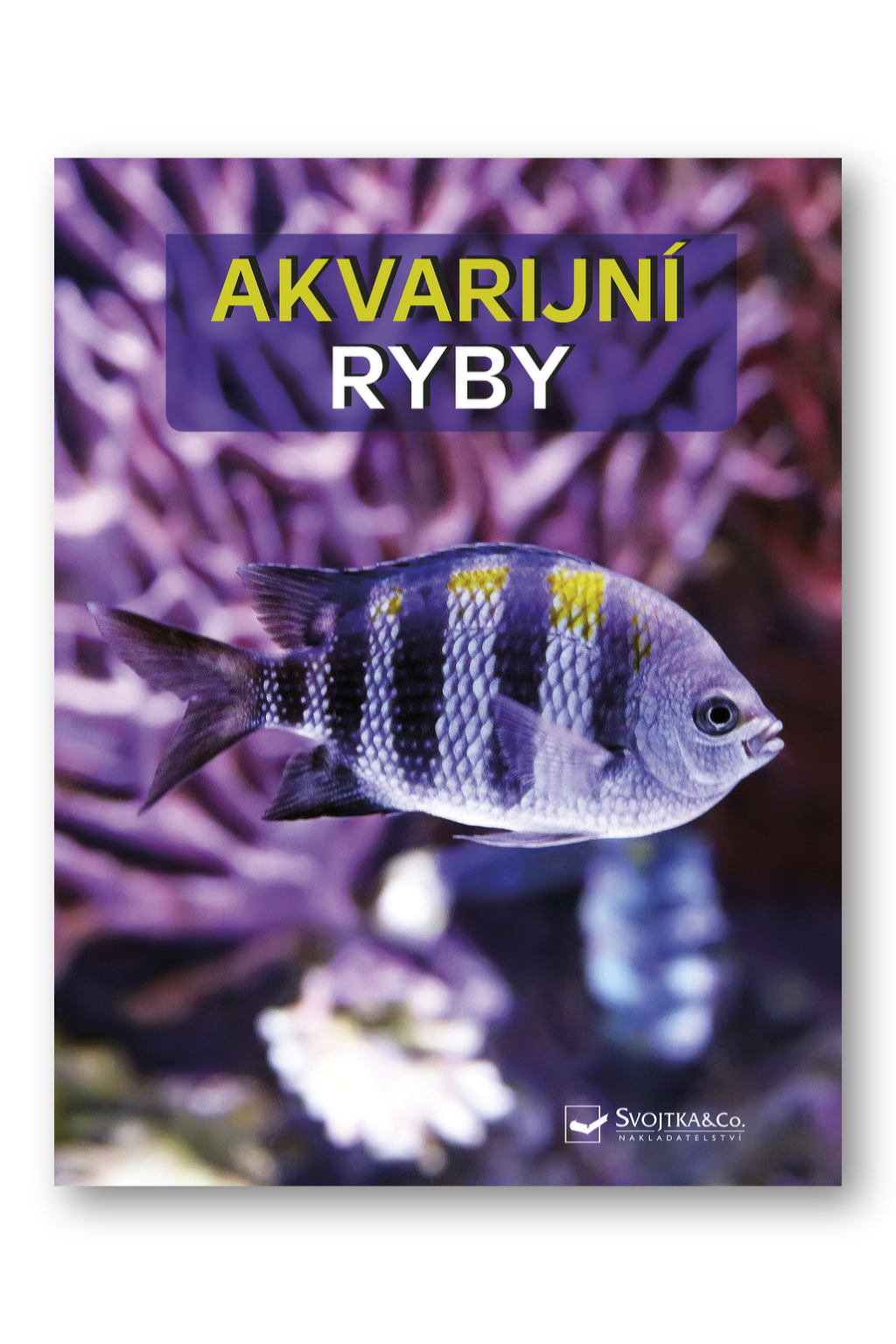 Akvarijní ryby – velký obrazový atlas Wally Kahl, Burkard Kahl, Dieter Vogt