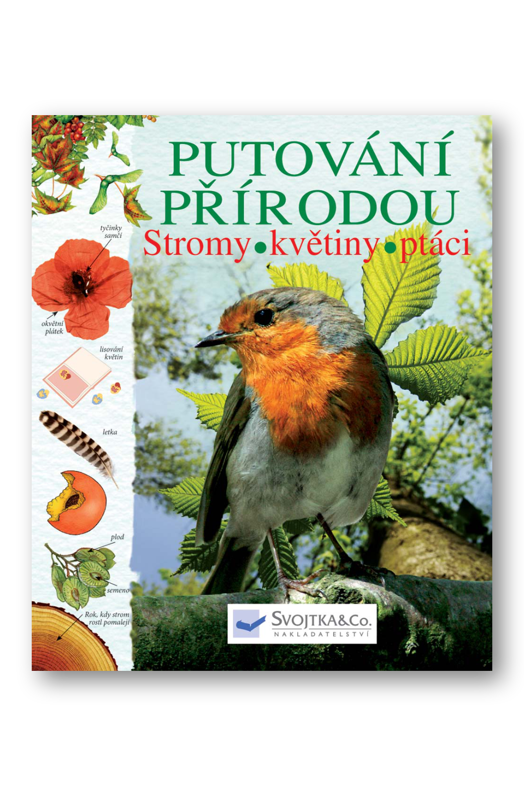 Putování přírodou – stromy, květiny, ptáci