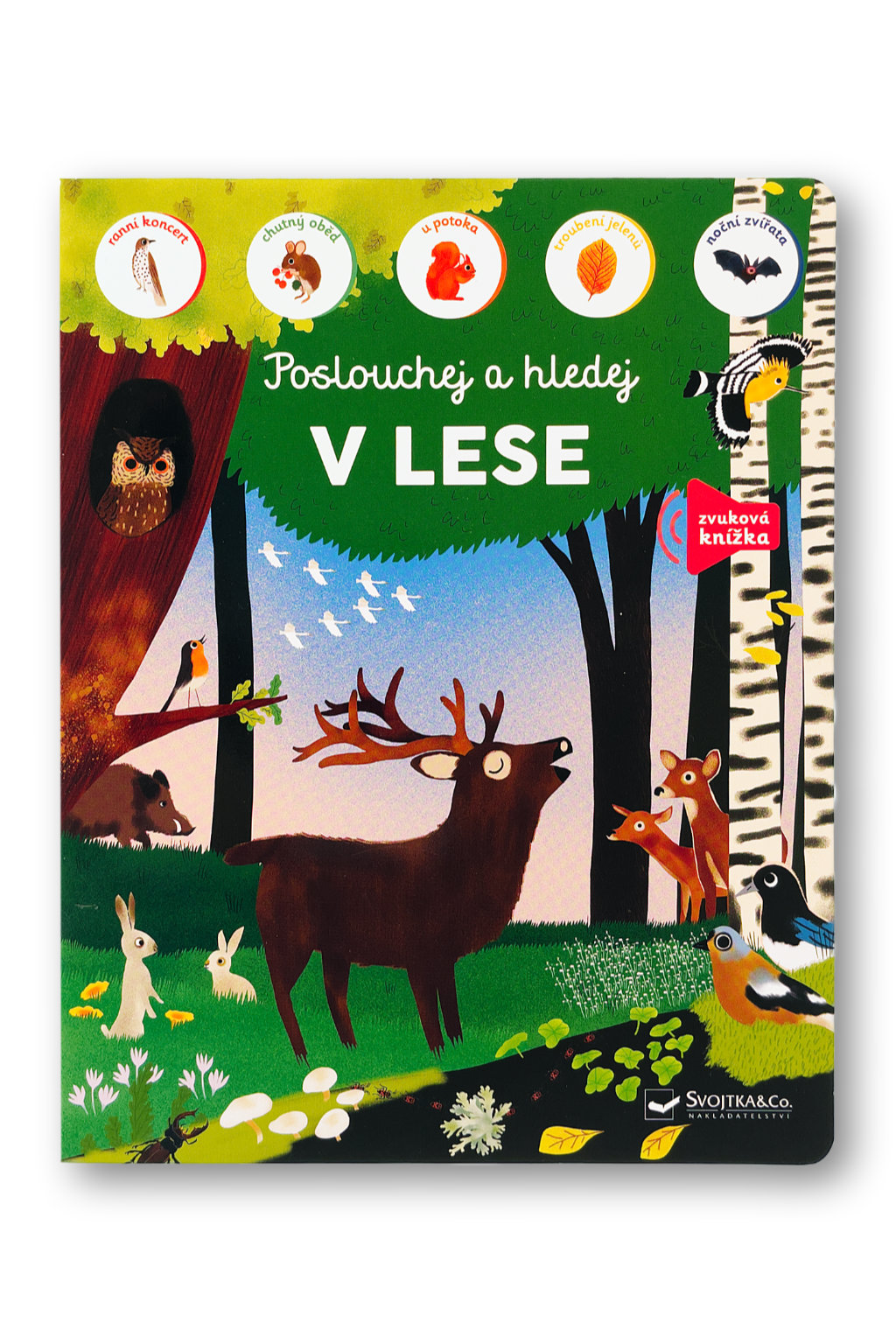 Levně V lese, poslouchej a hledej ilustrace Marie Paruit