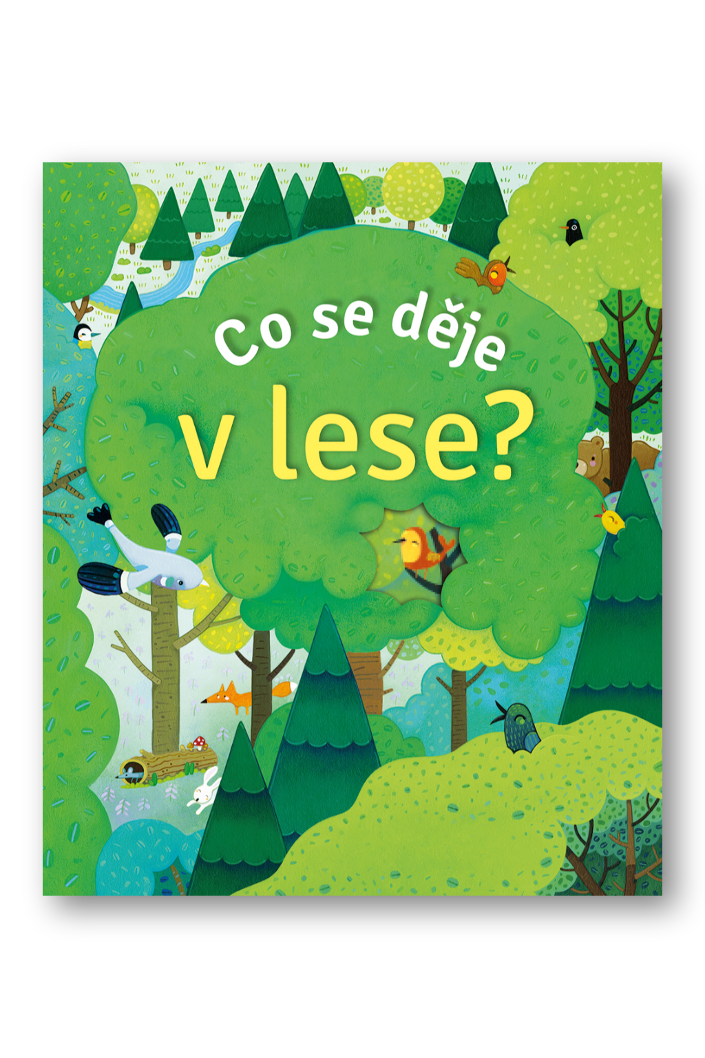 Co se děje v lese?