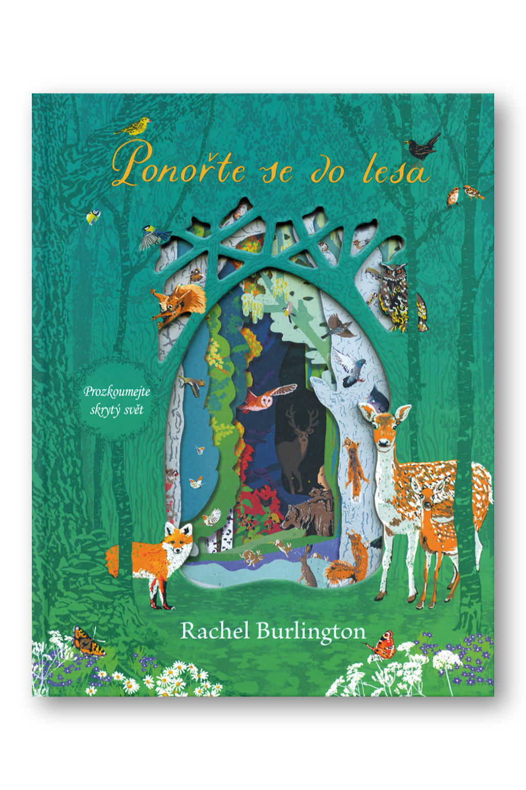 Ponořte se do lesa Rachel Burlington