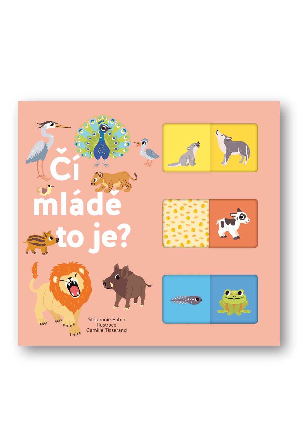 Čí mládě to je? Kolektiv autorů, ilustrace Camille Tisserand