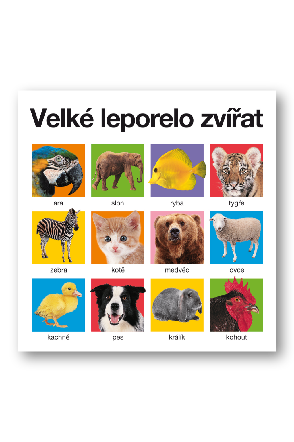 Levně Velké leporelo zvířat