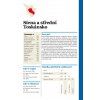 5366 Florencie Stránka 10