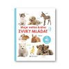6774 Moje velká kniha Zvuky mláďat OBALKA