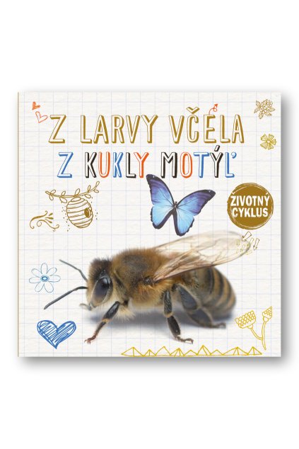 34319 Zivotny cyklus Vcela