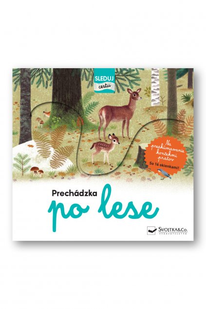 36084 Prechadzka po lese