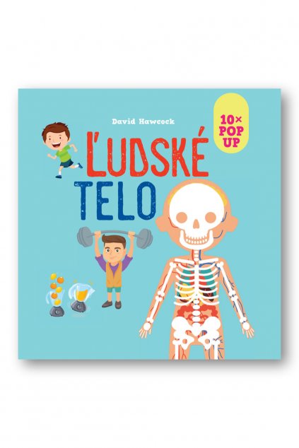 36352 Ludske telo 10 x pop up