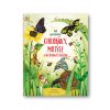 Chrobáky, motýle a iné drobné živočichy  Emily Bone, Nat Hues