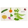 36161 MiniPÉDIA - Objavujeme svet! Zelenina 4