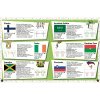 36913 Narodne futbalove timy so samolepkami 3
