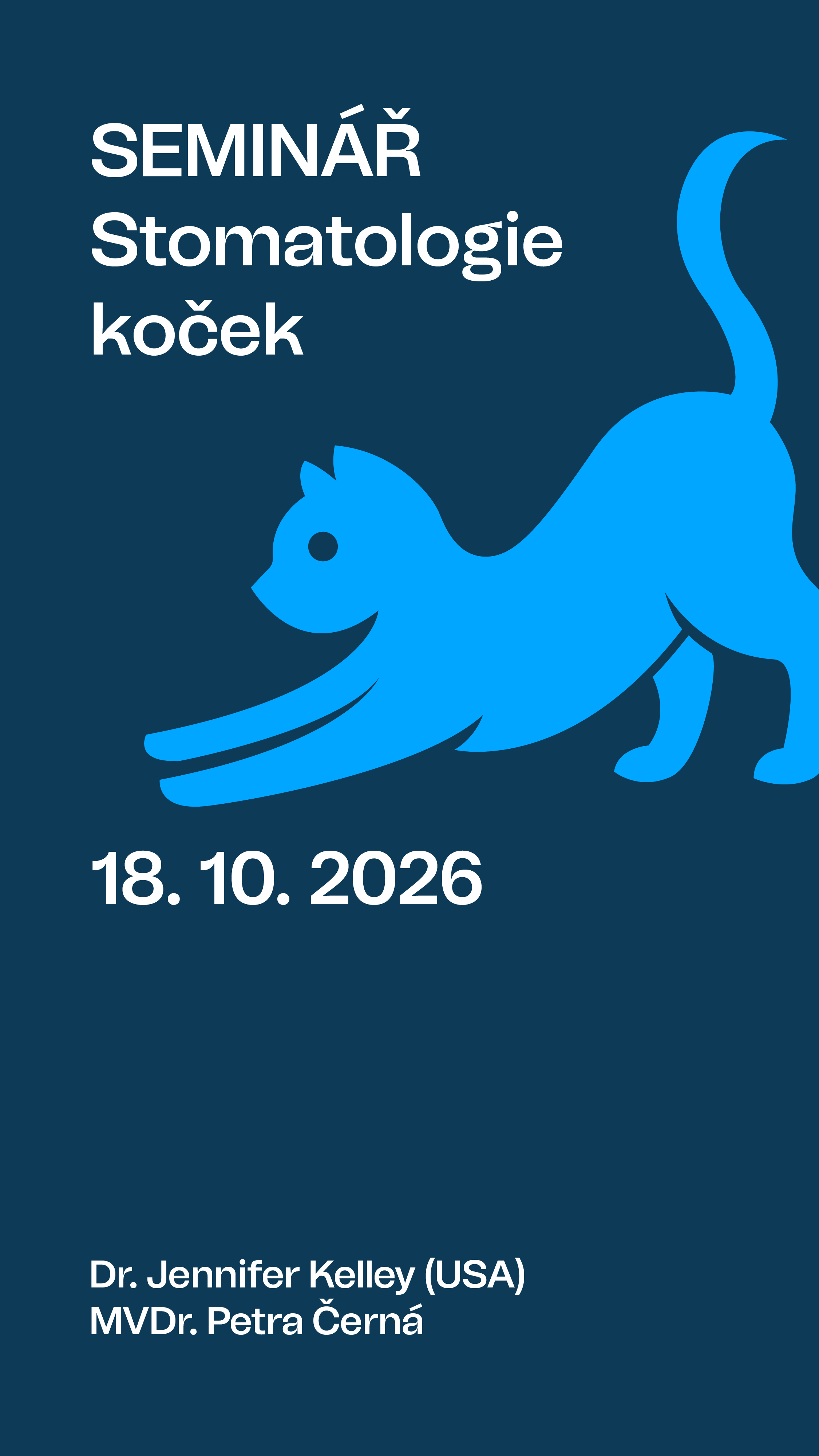 stomatologie koček