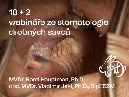 STOMATOLOGIE 01