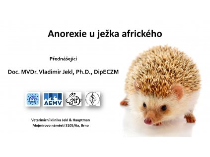 anorexie u ježka afrického