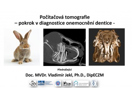 Počítačová tomografie VJekl