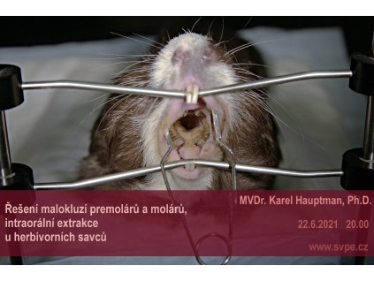 2021 06 22 malokluze