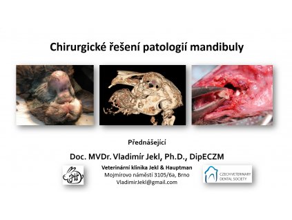 doc. MVDr. Vladimír Jekl, Ph.D. DipECZM: Chirurgické řešení patologií mandibuly
