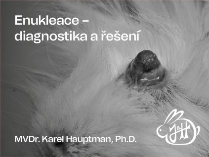 ENUKLEACE 01
