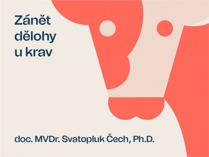 DELOHY U KRAV 01